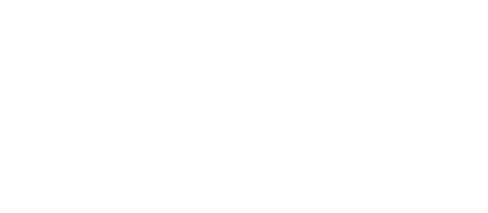 ALMA Organizacional
